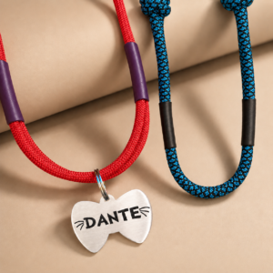 Kit 1 Pingente Gravatinha + 2 Coleiras